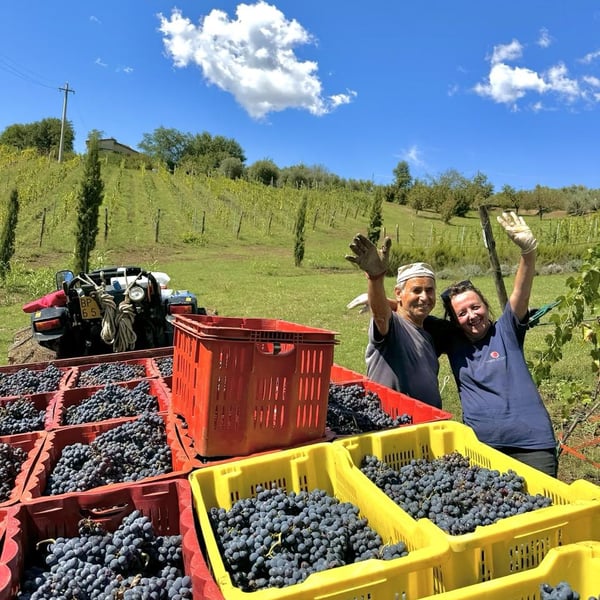 Donna Vittori - Borgo Agricolo - Maria Vittori
