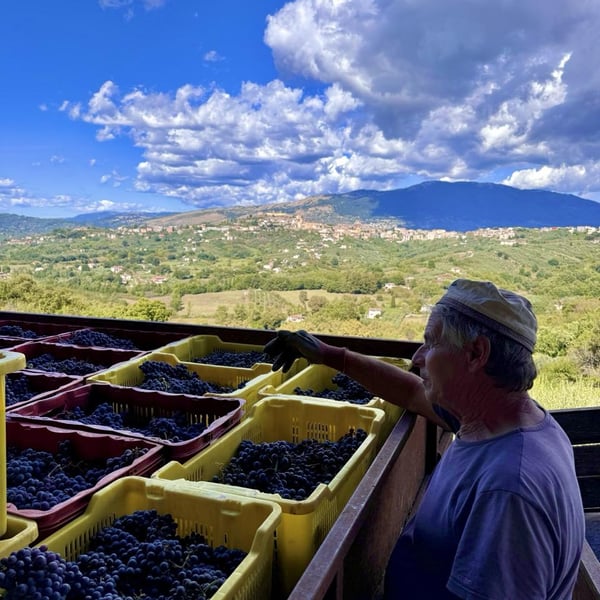 Donna Vittori - Borgo Agricolo - Maria Vittori