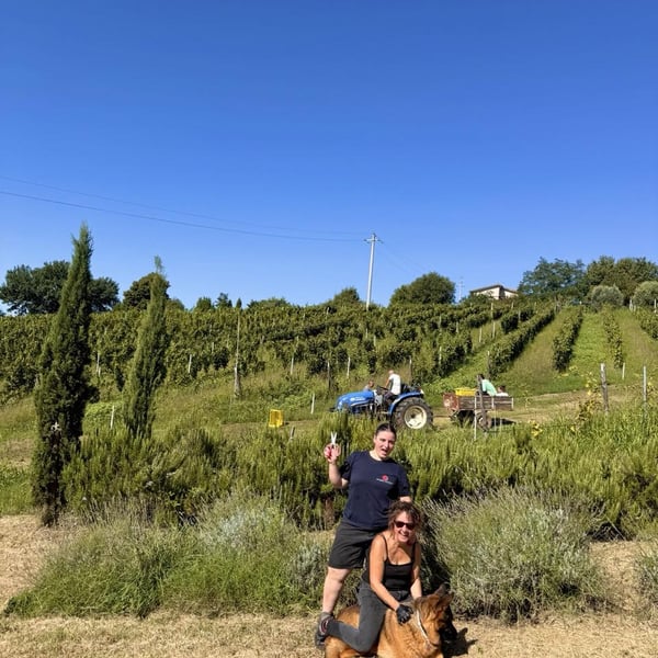 Donna Vittori - Borgo Agricolo - Maria Vittori