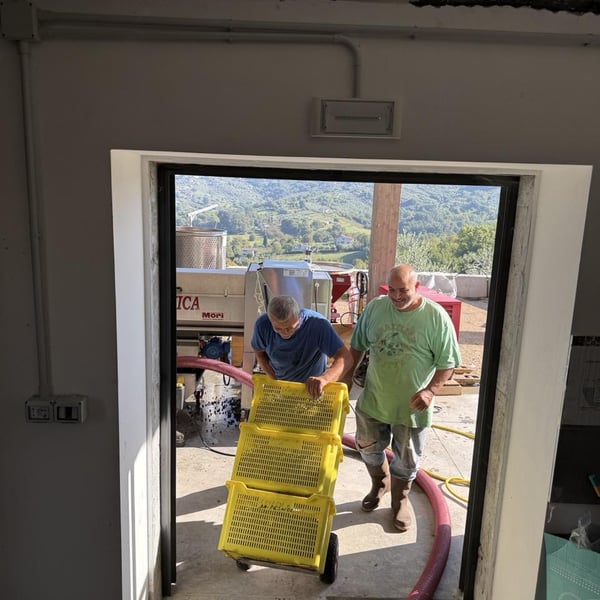 Donna Vittori - Borgo Agricolo - Maria Vittori