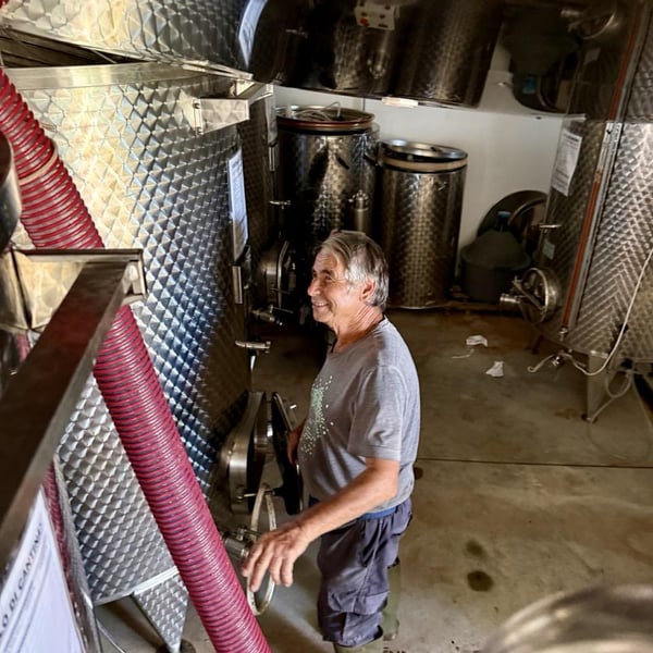 Donna Vittori - Borgo Agricolo - Maria Vittori