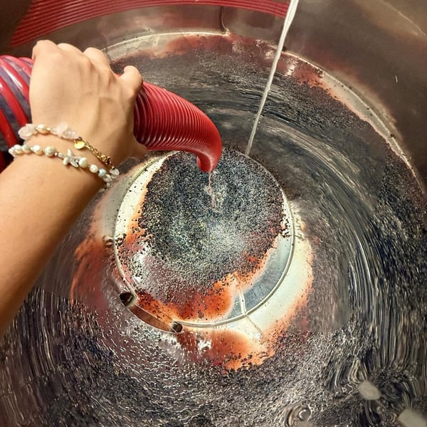 Donna Vittori - Borgo Agricolo - Maria Vittori