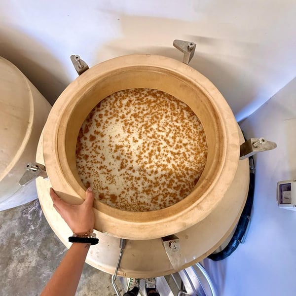 Donna Vittori - Borgo Agricolo - Maria Vittori