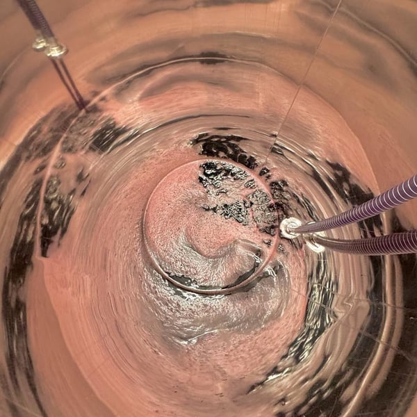 Donna Vittori - Borgo Agricolo - Maria Vittori