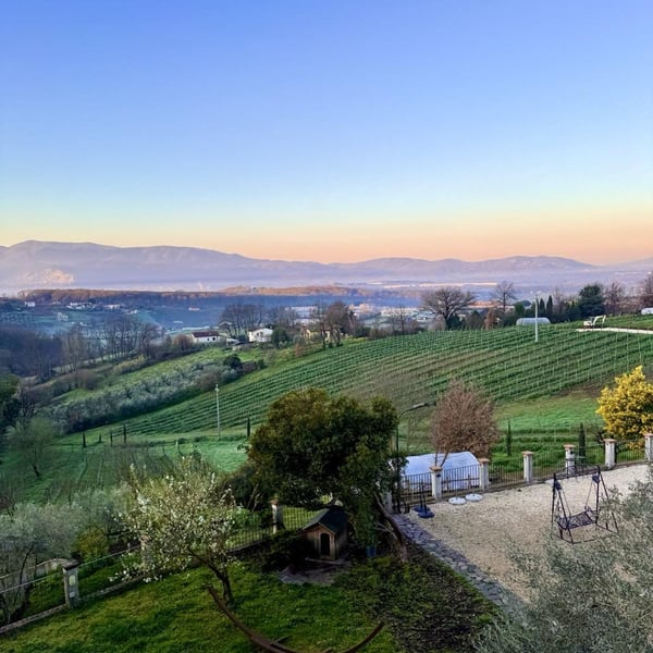 Donna Vittori - Borgo Agricolo - Maria Vittori