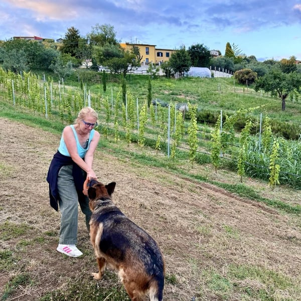 Donna Vittori - Borgo Agricolo - Maria Vittori