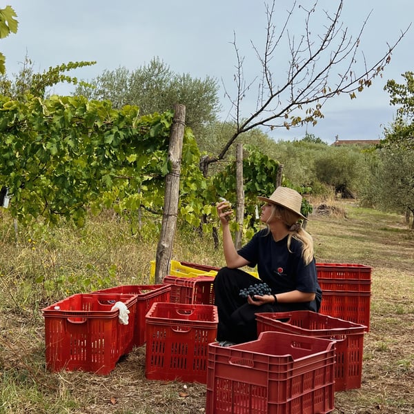 Donna Vittori - Borgo Agricolo - Maria Vittori