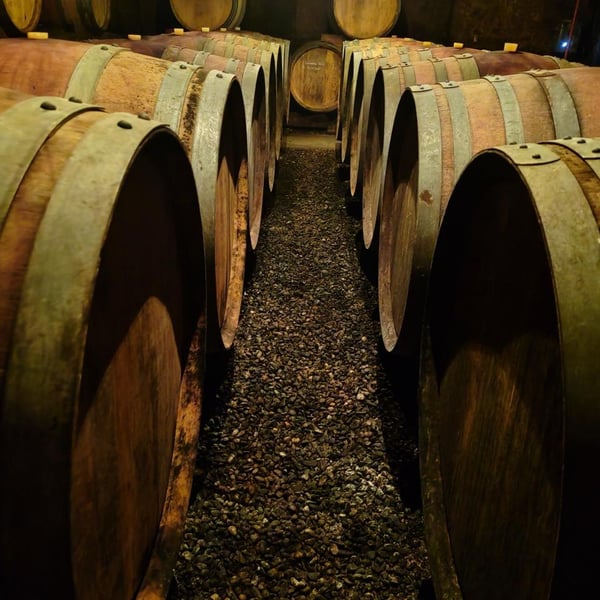 Domaine Marcel Richaud - Marcel Richaud