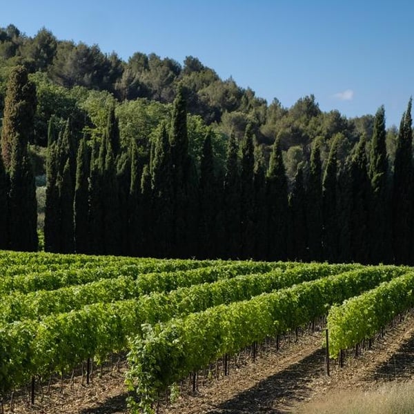 Domaine Marcel Richaud - Marcel Richaud