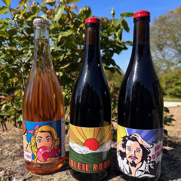 Domaine Sarot - Marc Alexandre Sarot