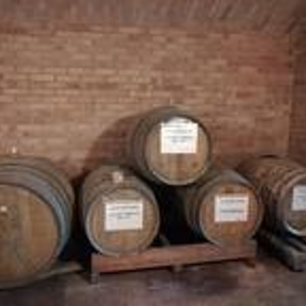 Il Vino e le Rose - Massimiliano Murgo