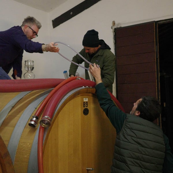 Atavica - Atavica Azienda Agricola