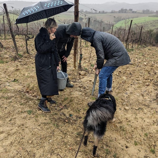 Atavica - Atavica Azienda Agricola