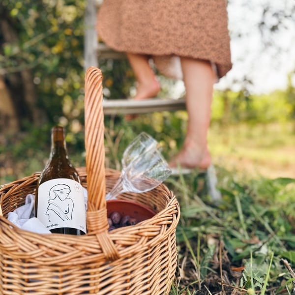 Atavica - Atavica Azienda Agricola