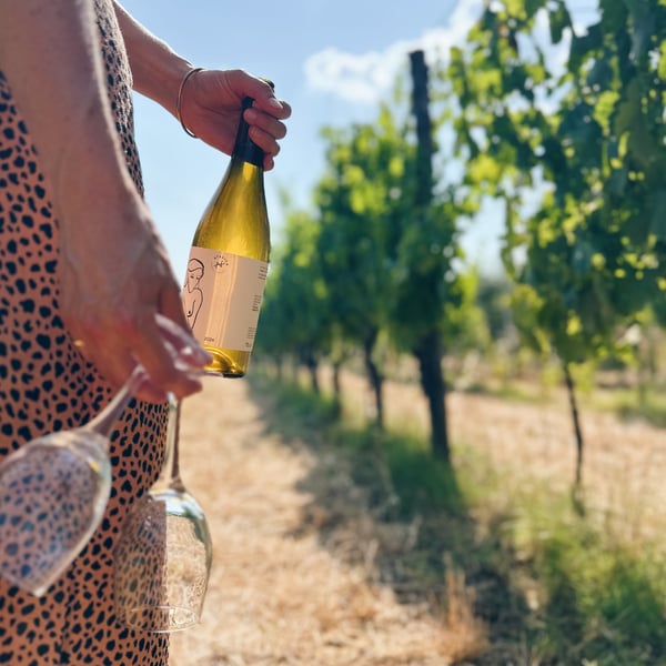 Atavica - Atavica Azienda Agricola