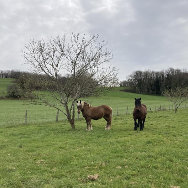 Morgane Turlier - Morgane Turlier