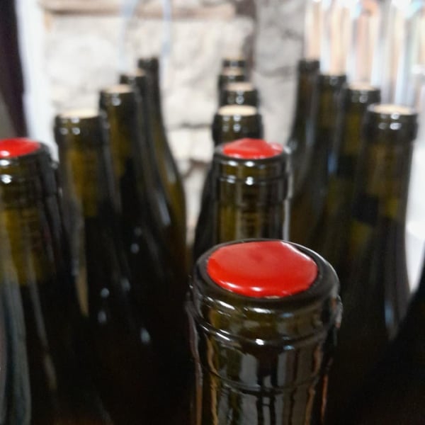 Domaine De L'Ubac - Nicolas Sinoir