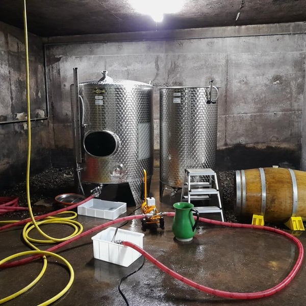 Chamäleon-Wein Konrad - Nora Konrad