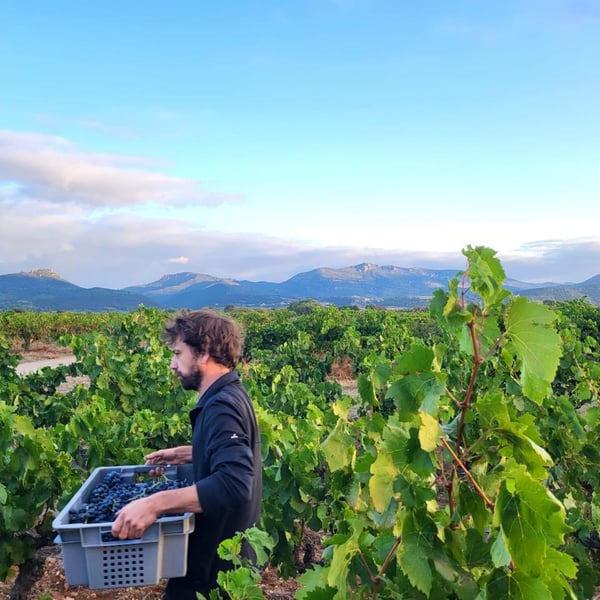 Domaine Flo Busch - Paola Ponsich & Florian Busch