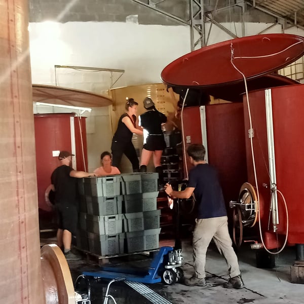 Domaine des Buis - Pauline Broqua