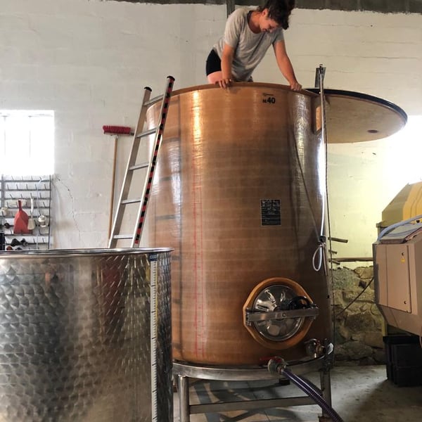 Domaine des Buis - Pauline Broqua