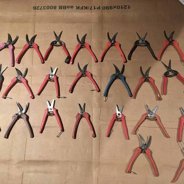 Domaine des Buis - Pauline Broqua