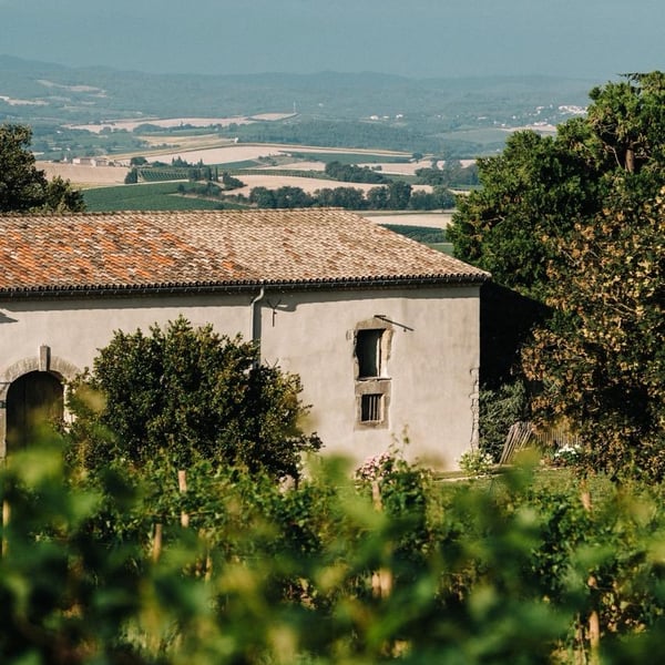 Pierre & Antonin - Pierre Caizergues & Antonin Bonnet