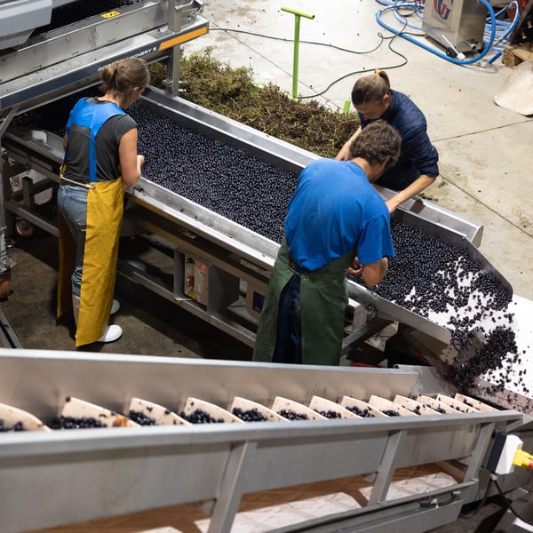 Pierre-Olivier & Pauline Laurent