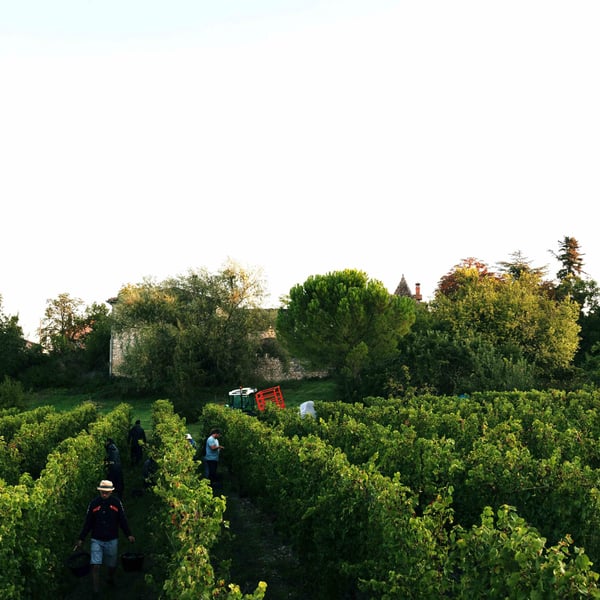 Pierre-Olivier & Pauline Laurent