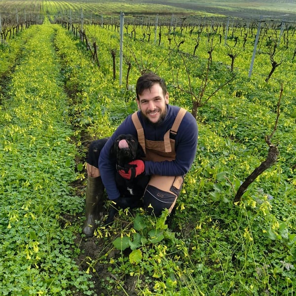 Salvatore & Gabriele Bertolino