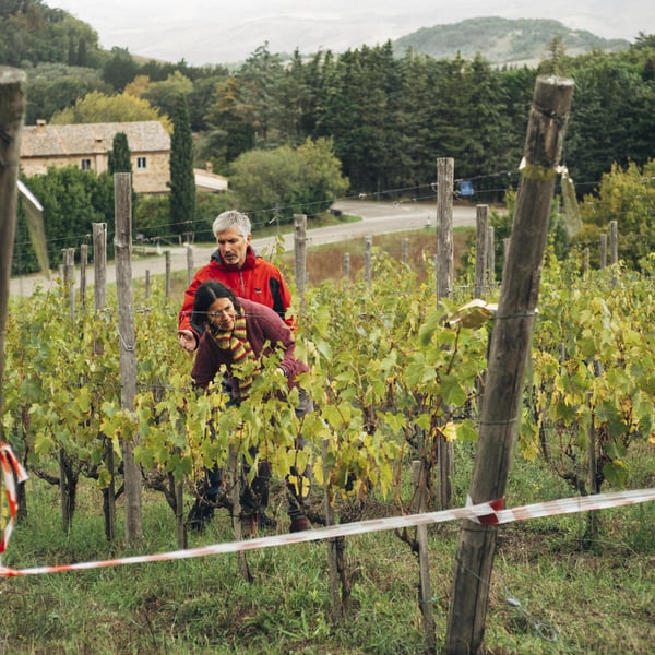 Podere Orto Trivium - Simona De Vecchis & Giuliano Salesi