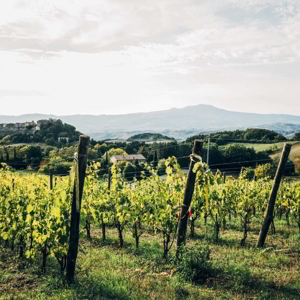 Podere Orto Trivium - Simona De Vecchis & Giuliano Salesi