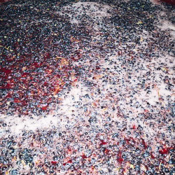 Podere Orto Trivium - Simona De Vecchis & Giuliano Salesi