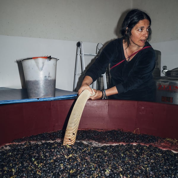 Podere Orto Trivium - Simona De Vecchis & Giuliano Salesi