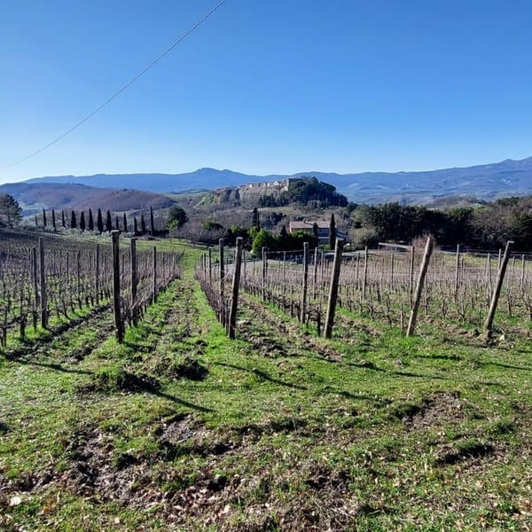 Podere Orto Trivium - Simona De Vecchis & Giuliano Salesi