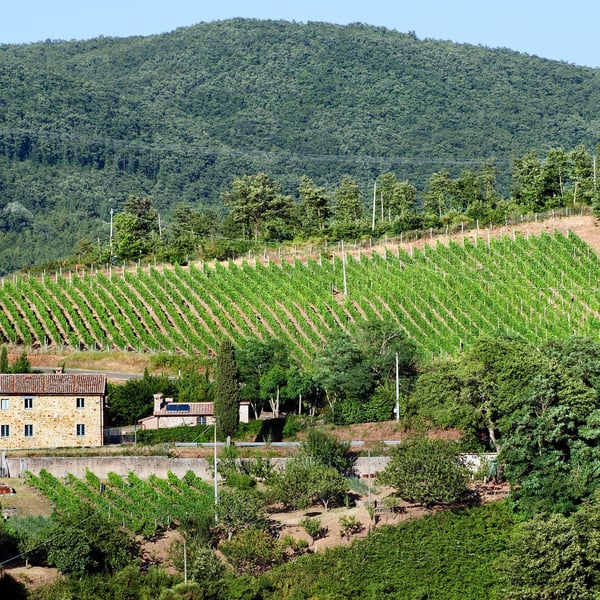 Podere Orto Trivium - Simona De Vecchis & Giuliano Salesi