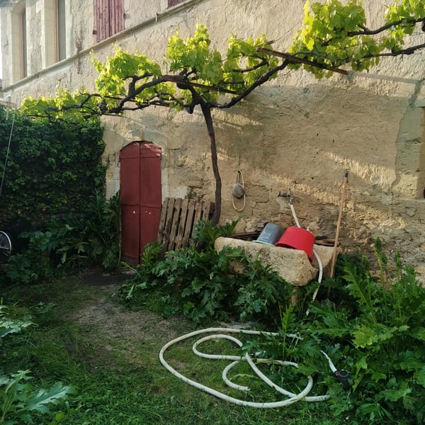 La Ferme des Magesses - Thomas Bouët