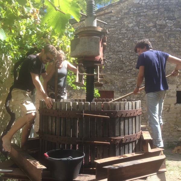 La Ferme des Magesses - Thomas Bouët