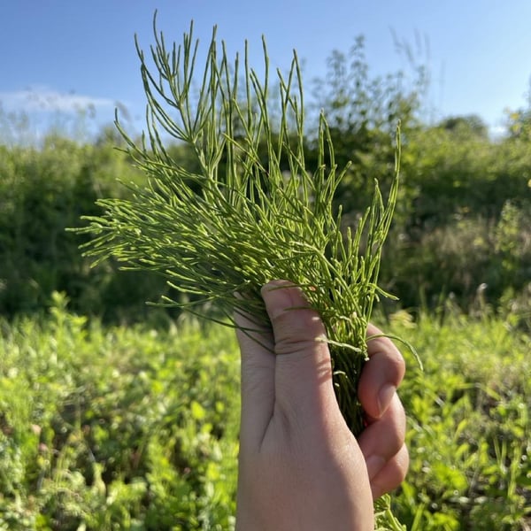 Vinařství Bystřický - Vojta & Anicka Bystřický