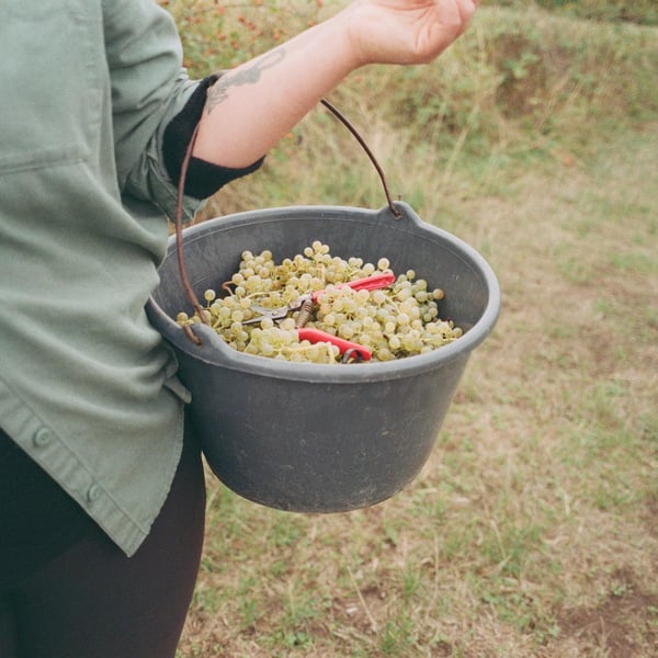 Emily Campeau & Christoph Müller