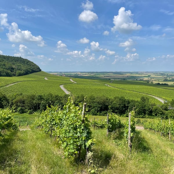 Emily Campeau & Christoph Müller
