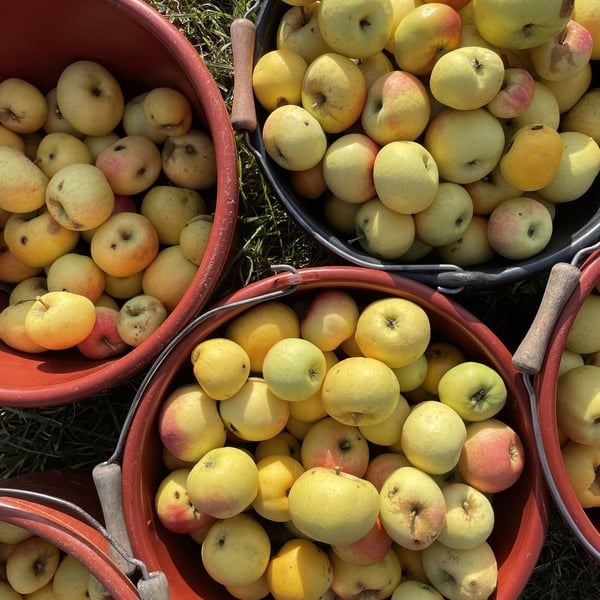 Emily Campeau & Christoph Müller