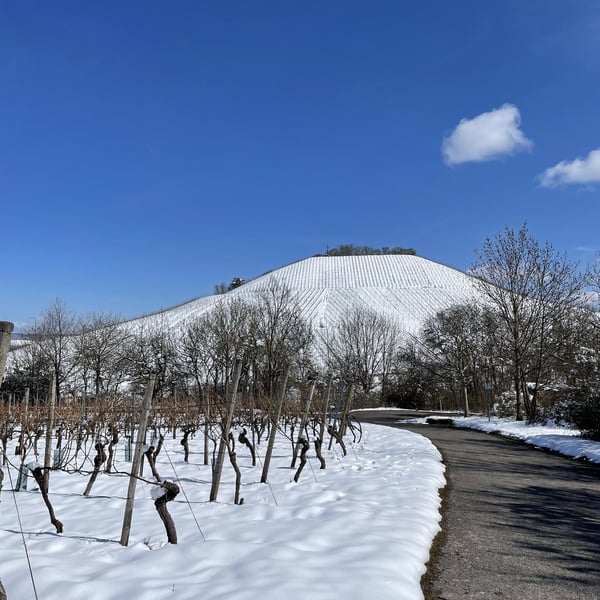 Wein Goutte - Emily Campeau & Christoph Müller