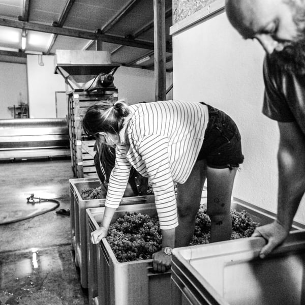 Wein Goutte - Emily Campeau & Christoph Müller