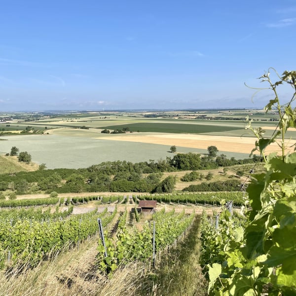 Wein Goutte - Emily Campeau & Christoph Müller
