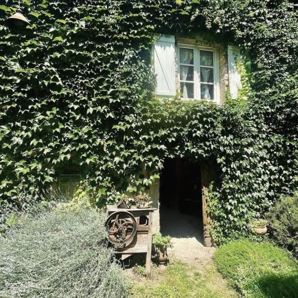 Joanne Dans Le Vin 796822