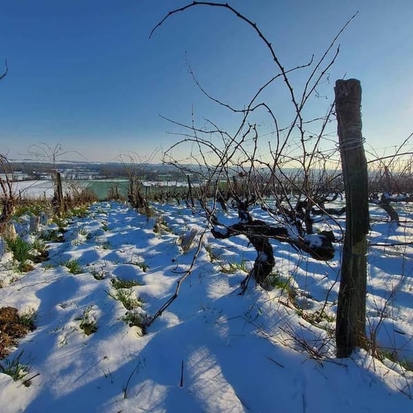 Domaine De La Futaie - Adrien Delval