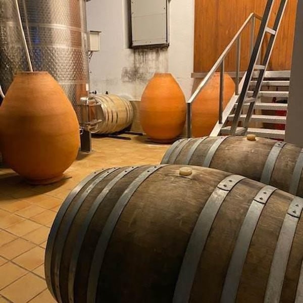 Agustí Torelló Roca