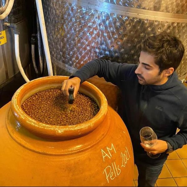 Agustí Torelló Roca