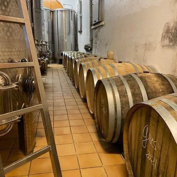 Agustí Torelló Roca